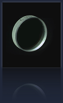 Optic1pic72dpi.jpg